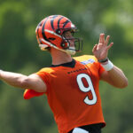 Cincinnati Bengals QB Joe Burrow.